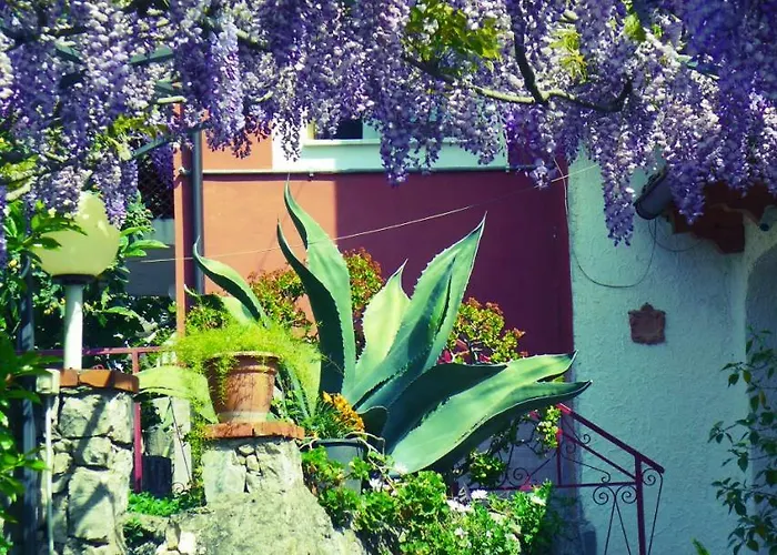 Villaggio Residence Chalet degli Ulivi Marina di Camerota